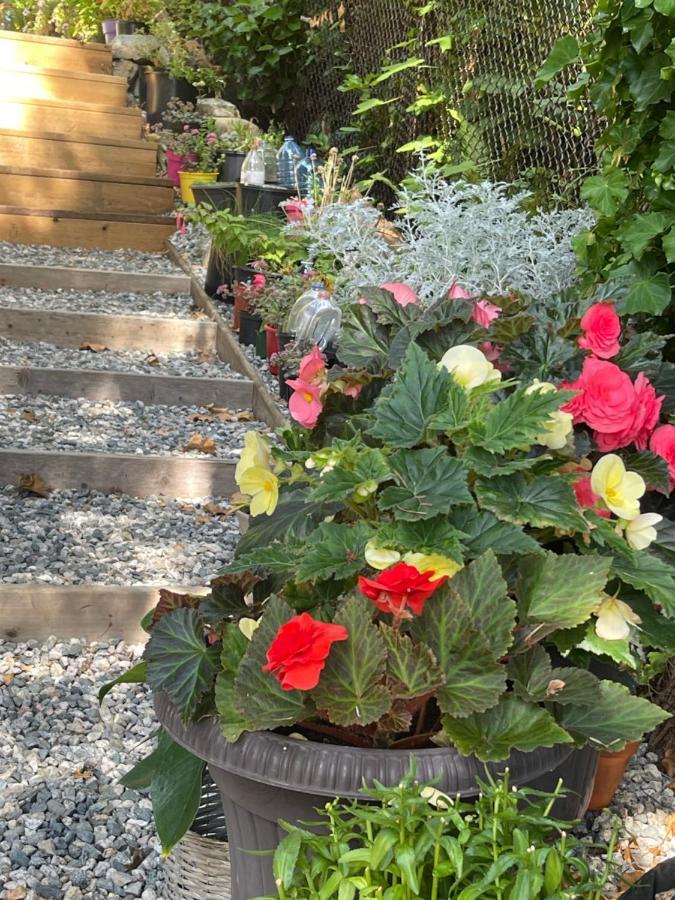 Garden Bridge House Villa Sechelt Ngoại thất bức ảnh