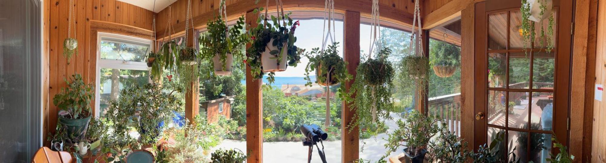 Garden Bridge House Villa Sechelt Ngoại thất bức ảnh