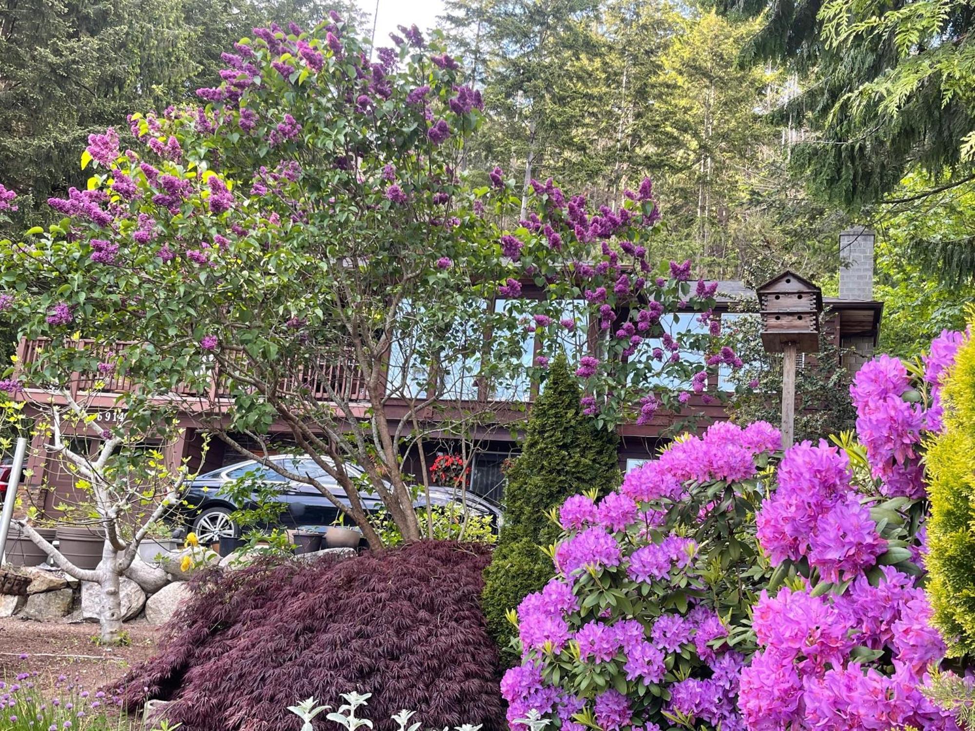 Garden Bridge House Villa Sechelt Ngoại thất bức ảnh